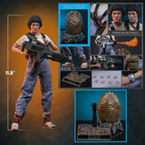 PRE-ORDER: Hot Toys Aliens: Ellen Ripley (Deluxe Version) Sixth Scale Figure - collectorzown