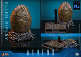PRE-ORDER: Hot Toys Aliens: Ellen Ripley (Deluxe Version) Sixth Scale Figure - collectorzown