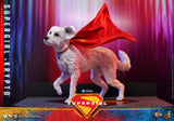 PRE - ORDER: Hot Toys DC Studios Supergirl: Supergirl & Krypto Sixth Scale Figure - collectorzown