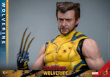 PRE - ORDER: Hot Toys Deadpool 3: Wolverine (Deluxe Version) Sixth Scale Figure - collectorzown
