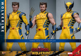 PRE - ORDER: Hot Toys Deadpool 3: Wolverine (Deluxe Version) Sixth Scale Figure - collectorzown