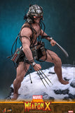 PRE - ORDER: Hot Toys Marvel Comics Weapon X Sixth Scale Figure - collectorzown