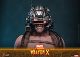 PRE - ORDER: Hot Toys Marvel Comics Weapon X Sixth Scale Figure - collectorzown