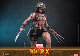 PRE - ORDER: Hot Toys Marvel Comics Weapon X Sixth Scale Figure - collectorzown