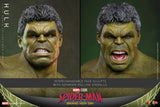 PRE-ORDER: Hot Toys Marvel Studios Spider-Man: Brand New Day Hulk Sixth Scale Figure - collectorzown