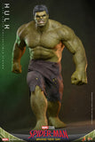PRE-ORDER: Hot Toys Marvel Studios Spider-Man: Brand New Day Hulk Sixth Scale Figure - collectorzown