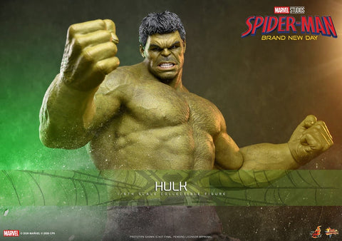 PRE-ORDER: Hot Toys Marvel Studios Spider-Man: Brand New Day Hulk Sixth Scale Figure - collectorzown