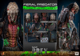 PRE - ORDER: Hot Toys Prey Feral Predator (Battle Damaged Version) Sixth Scale Figure - collectorzown