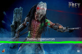 PRE - ORDER: Hot Toys Prey Feral Predator (Battle Damaged Version) Sixth Scale Figure - collectorzown
