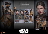 PRE - ORDER: Hot Toys Star Wars: Return of the Jedi Leia Organa (Boushh Disguise) Sixth Scale Figure - collectorzown