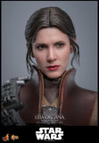 PRE - ORDER: Hot Toys Star Wars: Return of the Jedi Leia Organa (Boushh Disguise) Sixth Scale Figure - collectorzown