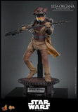 PRE - ORDER: Hot Toys Star Wars: Return of the Jedi Leia Organa (Boushh Disguise) Sixth Scale Figure - collectorzown