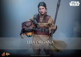 PRE - ORDER: Hot Toys Star Wars: Return of the Jedi Leia Organa (Boushh Disguise) Sixth Scale Figure - collectorzown