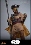PRE - ORDER: Hot Toys Star Wars: Return of the Jedi Leia Organa (Boushh Disguise) Sixth Scale Figure - collectorzown
