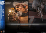 PRE - ORDER: Hot Toys Star Wars: The Mandalorian & Grogu Anzellan Droidsmith Anzellan Droidsmith Keeto Life - Size Figure - collectorzown