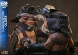PRE - ORDER: Hot Toys Star Wars: The Mandalorian & Grogu Anzellan Droidsmith Anzellan Droidsmith Keeto Life - Size Figure - collectorzown