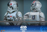 PRE - ORDER: Hot Toys Star Wars: The Mandalorian & Grogu Imperial Remnant AT - AT Driver Sixth Scale Figure - collectorzown