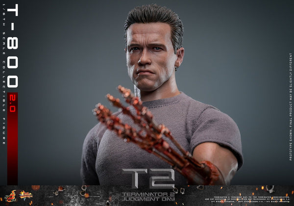 pre-order-hot-toys-terminator-2-t-800-20-sixth-scale-figure-331189 ...