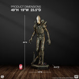 PRE-ORDER: PCS Collectibles Alien Big Chap (Deluxe Edition) 1:2 Scale Statue - collectorzown