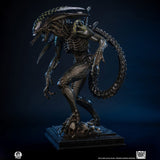 PRE - ORDER: PCS Collectibles Alien vs. Predator: Grid Alien 1/2 Scale Statue - collectorzown