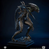 PRE - ORDER: PCS Collectibles Alien vs. Predator: Grid Alien 1/2 Scale Statue - collectorzown
