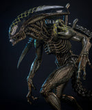 PRE - ORDER: PCS Collectibles Alien vs. Predator: Grid Alien 1/2 Scale Statue - collectorzown