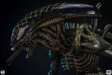 PRE - ORDER: PCS Collectibles Alien vs. Predator: Grid Alien 1/2 Scale Statue - collectorzown