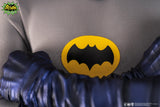 PRE - ORDER: PureArts Batman & Robin 1966 1/4 Scale Statue - collectorzown