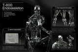PRE-ORDER: Queen Studios INART The Terminator: T-800 Endoskeleton 1/6 Scale Collectible Figure - collectorzown
