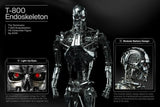 PRE-ORDER: Queen Studios INART The Terminator: T-800 Endoskeleton 1/6 Scale Collectible Figure - collectorzown