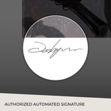 PRE - ORDER: Sideshow Collectibles DC Comics Catwoman Art Print - collectorzown