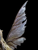 Weta Workshop The Dark Crystal Deet the Gelfling 1:6 Statue - collectorzown