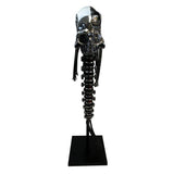 Factory Entertainment Star Trek: First Contact Borg Queen Skull Signature Edition Prop Replica - collectorzown