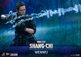 Hot Toys Wenwu Sixth Scale Figure - collectorzown