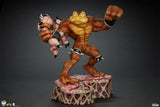 PRE-ORDER: PCS Collectibles Battletoads Brawler Collection Collectible Set - collectorzown