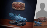 Star Ace Toys Coelacanth (Deluxe Version) Statue - collectorzown